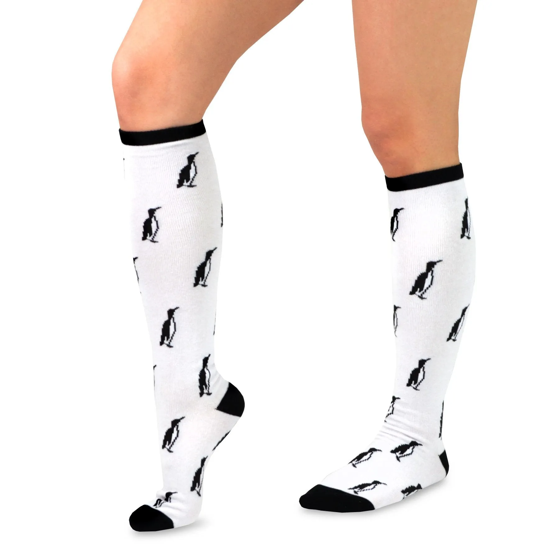 TeeHee Socks Women's Novelty Cotton Knee High Fish and Animal 6-Pack (12171)