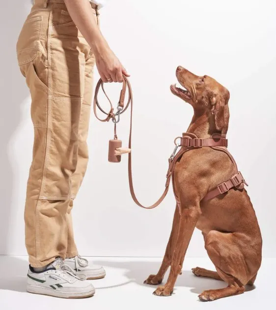Wild One Poop Bag Carrier and Roll (Cocoa)