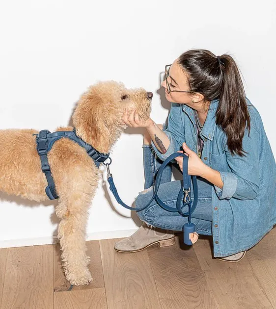 Wild One Poop Bag Carrier and Roll (Navy)