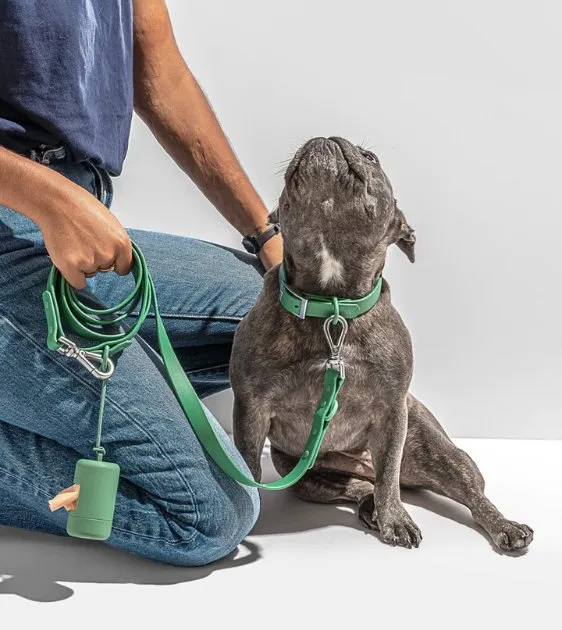 Wild One Poop Bag Carrier and Roll (Spruce)